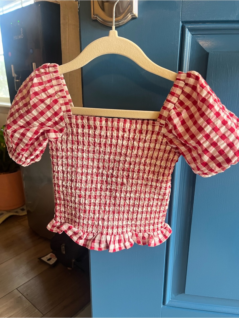 Gymboree Red and White Gingham Smocked Top